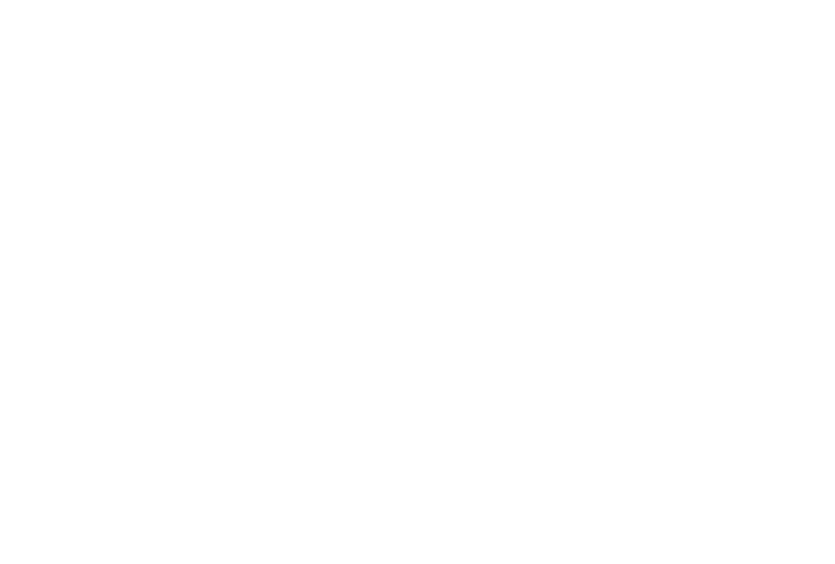 Vapore Antonio